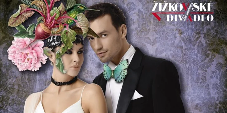 Vstupenka pro 1 osobu na ples Žižkovského divadla Járy Cimrmana