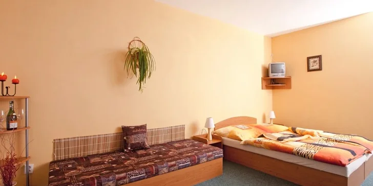 Lipenské jezero, Horní Planá -  Last minute pobyt v penzionu Novák pro 2 osoby