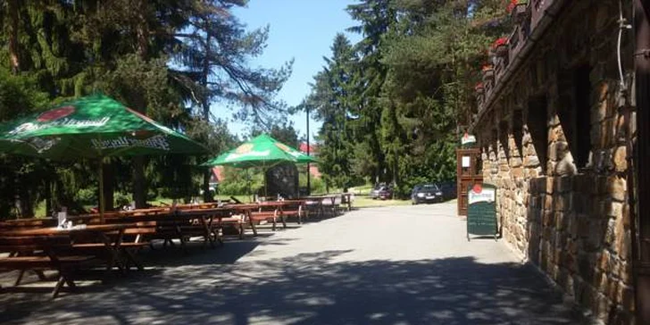 Tip na rodinný výlet: Vstup pro 2 do lanového centra, ledová káva a zákusek