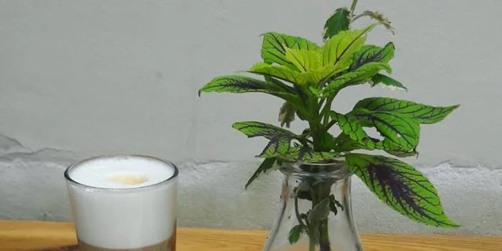 2 teplé nápoje na Vítkově nebo na Petříně: svařený džus nebo caffè latte