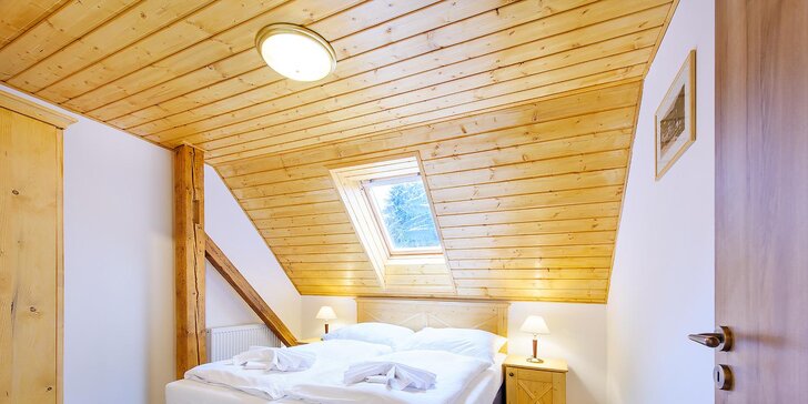 Pobyt ve Špindlerově Mlýně: polopenze a sauna