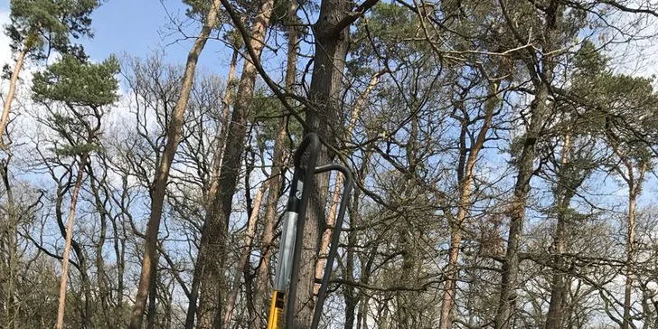 5hodinový základní kurz stromolezení pro 1 nebo 2 osoby