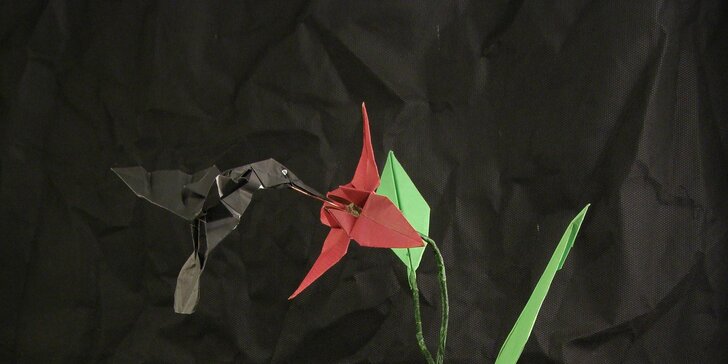 Kurz origami pro začátečníky i pokročilé: Naučte se skládat zvířátka a květiny