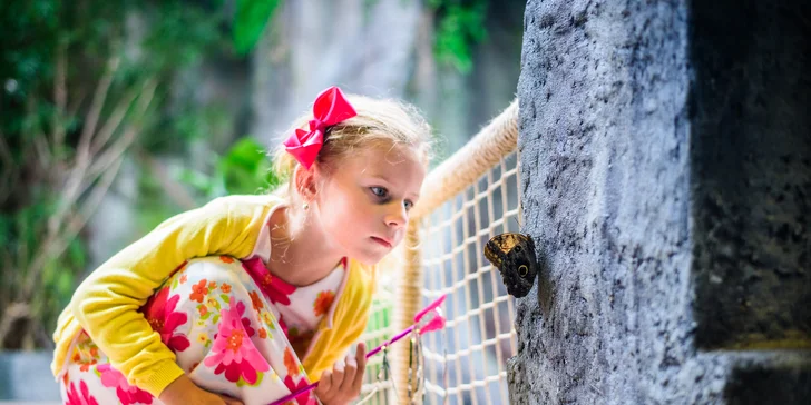 Neomezené roční využití atrakcí v Hamleys: kolotoč, bludiště, auta a další