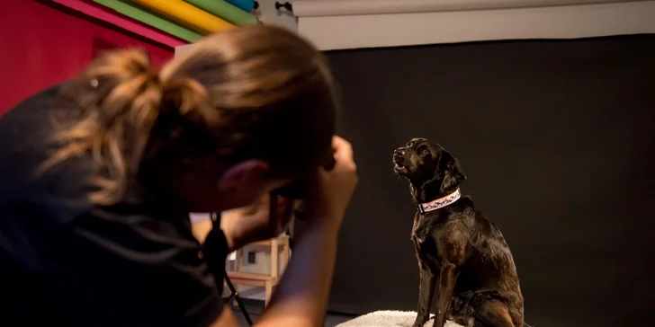 Vyfotí vašeho pejska přesně tak, aby mu to nejvíc slušelo.
