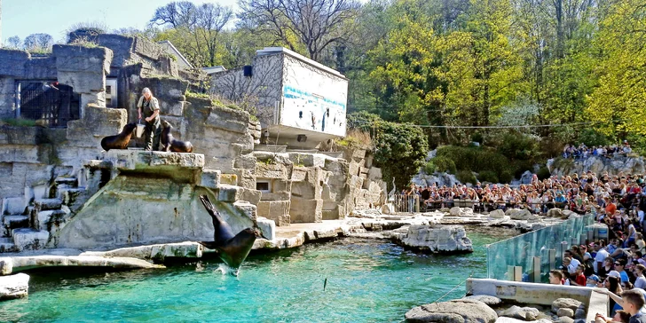 Vídeňská zoo: lední medvědi, orangutani, pandy, koaly a mnoho dalších