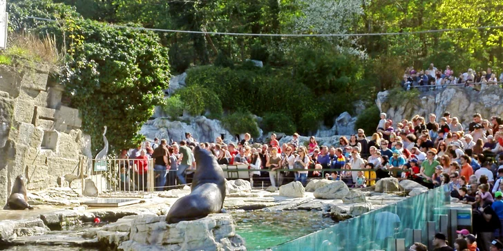 Vídeňská zoo: lední medvědi, orangutani, pandy, koaly a mnoho dalších