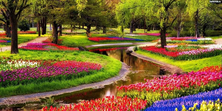 Hlavní symboly Holandska: Keukenhof, Amsterdam, Volendam, Zaanse Schans