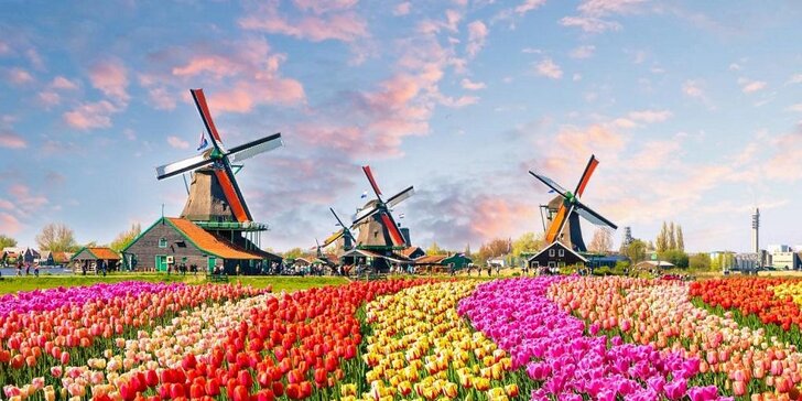 Hlavní symboly Holandska: Keukenhof, Amsterdam, Volendam, Zaanse Schans