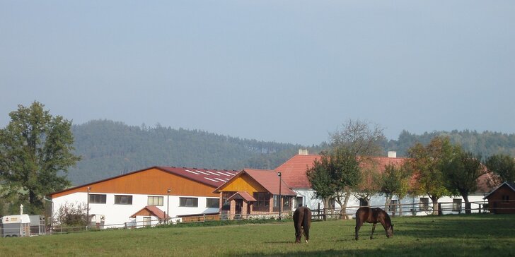 Letní dětský tábor u koní! V krásné přírodě nedaleko Prahy