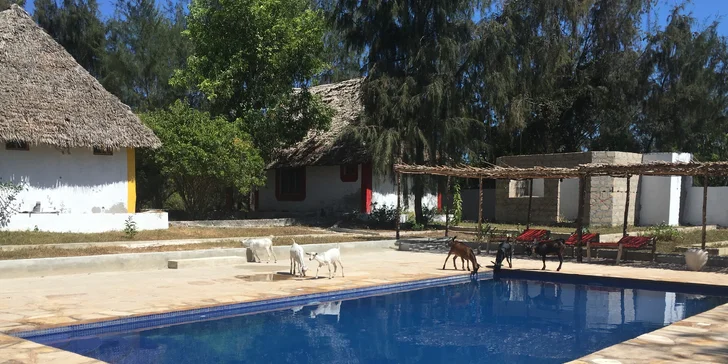 Exotický Zanzibar: plná penze, light inclusive nápoje a neskutečná pohoda