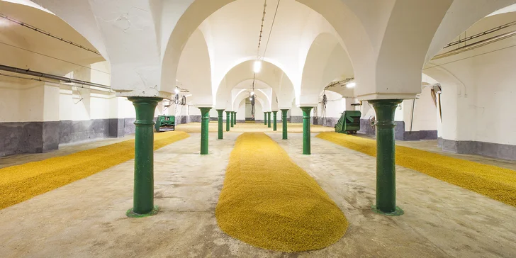 Podíváte se do sladovny i varny, sejdete také do sklepa. 