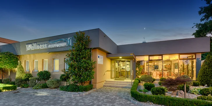 Pobyt ve stylu Provence: se snídaní či polopenzí, možnost apartmánu