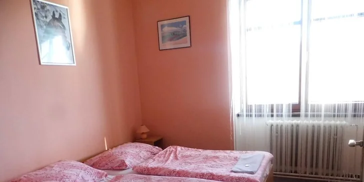 Pobyt v penzionu u Pálavy: 2 noci s polopenzí, sleva na vstup do Aqualandu