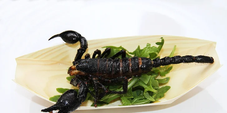 Show šéfkuchaře Petra Ocknechta: Ochutnejte exotické hmyzí speciality