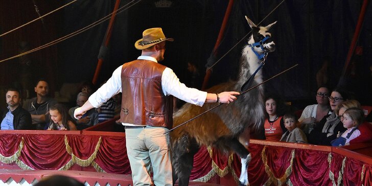 Vstupenka na zábavnou show cirkusu Bernes: březnová představení na Hájích