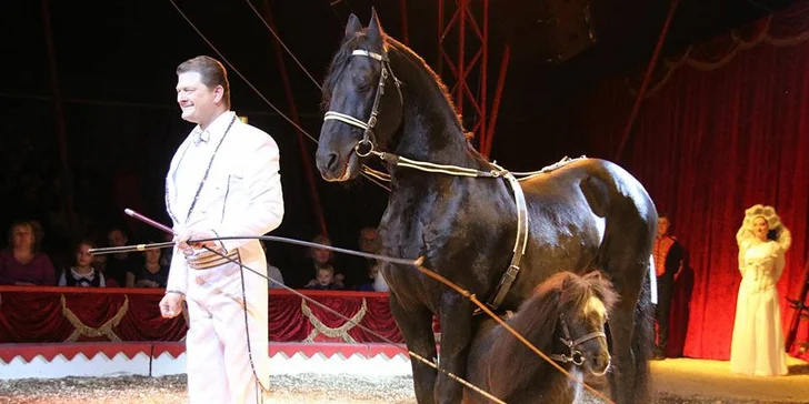 Vstupenka na show cirkusu Bernes: březnová a dubnová představení v Libuši