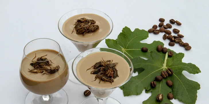 Show šéfkuchaře Petra Ocknechta: Ochutnejte exotické hmyzí speciality