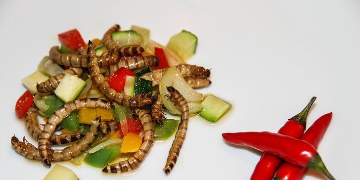 Show šéfkuchaře Petra Ocknechta: Ochutnejte exotické hmyzí speciality