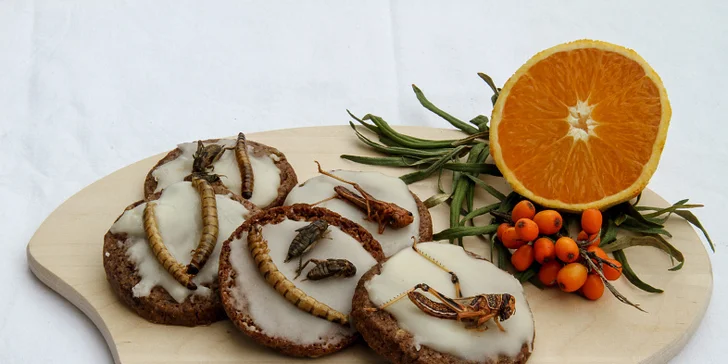 Show šéfkuchaře Petra Ocknechta: Ochutnejte exotické hmyzí speciality