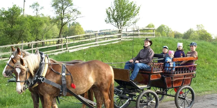 3denní pobyt na farmě pro rodinu: účast na aktivitách podle ročního období