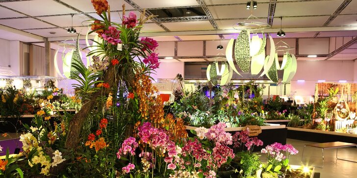 Největší výstava orchidejí v Evropě, prohlídka centra Drážďan, Primark