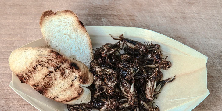 Show šéfkuchaře Petra Ocknechta: Ochutnejte exotické hmyzí speciality