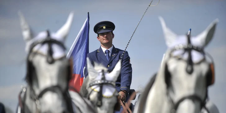 Rudolfův pohár v kladrubském hřebčíně: sobotní vstup na závody spřežení