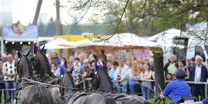 Rudolfův pohár v kladrubském hřebčíně: sobotní vstup na závody spřežení