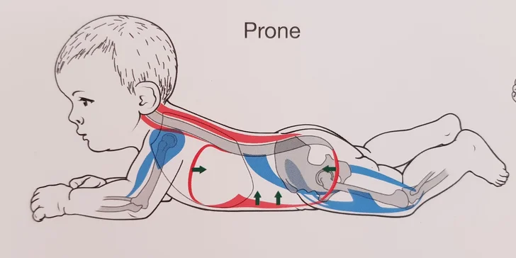 Fyzioterapie pro ženy s oslabením pánevního dna a děti do 1,5 roku