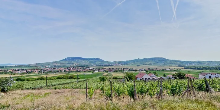 Pobyt v penzionu u Pálavy: 2 noci s polopenzí, sleva na vstup do Aqualandu