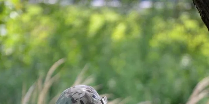 Zahrajte si na vojáky: airsoftové bitvy otevřené profíkům i amatérům venku