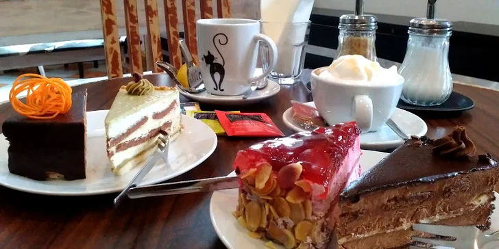 Toast a limonáda nebo káva a zákusek v kavárně plné koček pro jednoho i pro dva