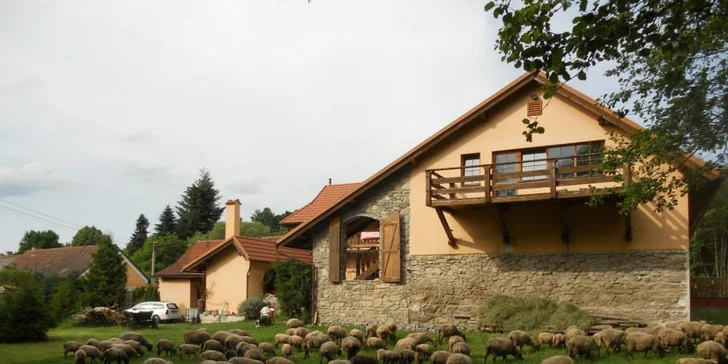 3denní pobyt na farmě pro rodinu: účast na aktivitách podle ročního období