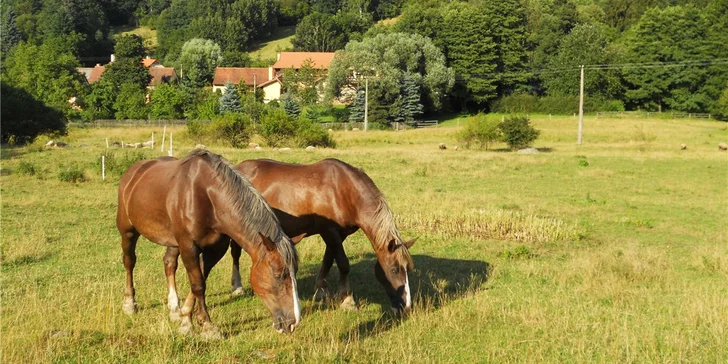 3denní pobyt na farmě pro rodinu: účast na aktivitách podle ročního období