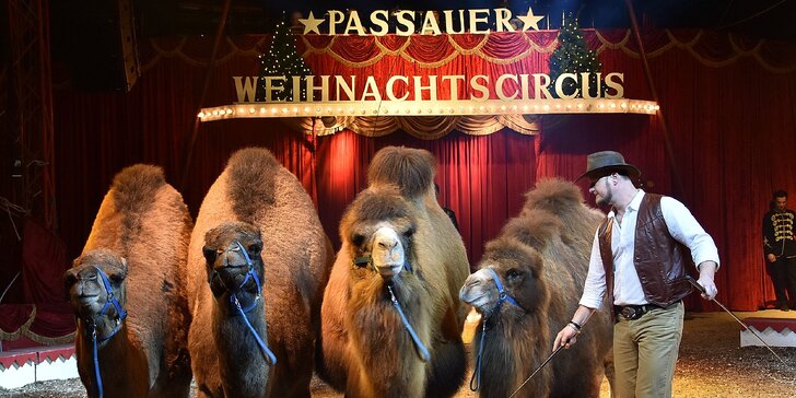 Vstupenky na velkolepou show cirkusu Bernes v Pardubicích