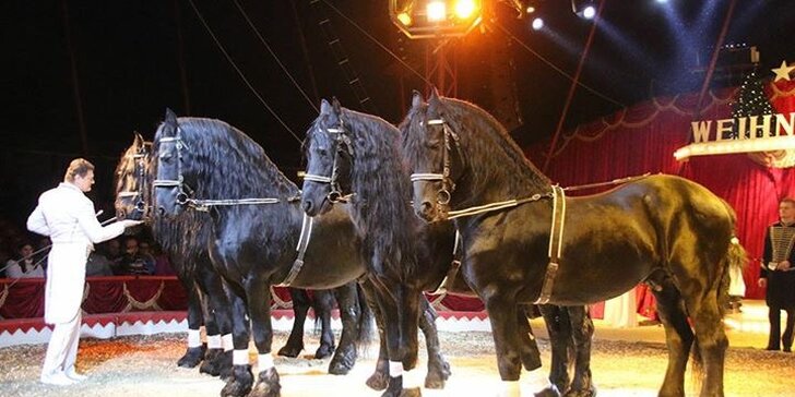 Vstupenky na velkolepou show cirkusu Bernes v Roztokách