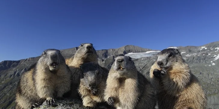 Přírodní krásy Rakouska - den na vyhlídce na Grossglockner a město Zell am See