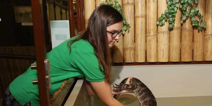 Vstupenka do Krokodýlí Zoo Praha: kajmani, krokodýli i aligátoři