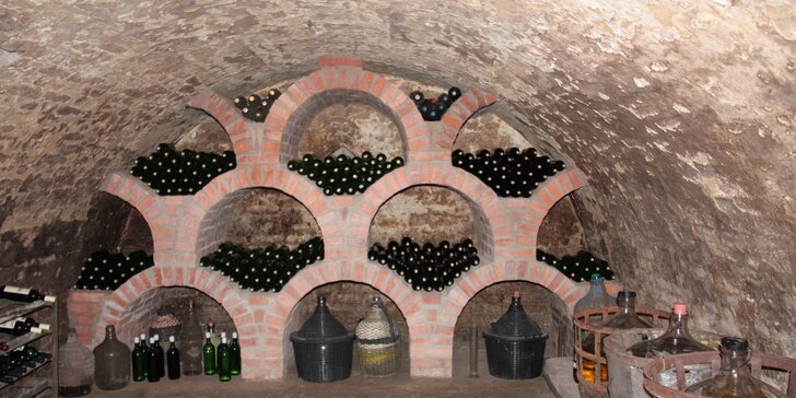Oddech mezi vinicemi: turistický pobyt s ochutnávkou místních vín