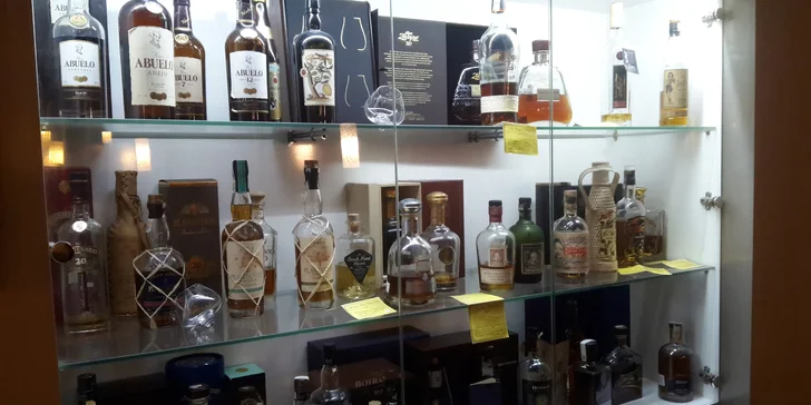 Zdravé obědové menu: salát dle výběru, káva nebo dom. limonáda a zákusek