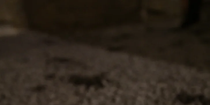 Tip na výlet do Mělníka: rodinné vstupné do podzemí s unikátní studnou
