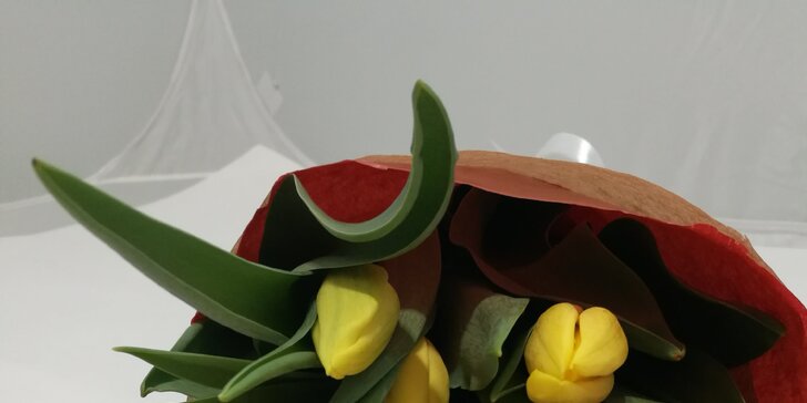 Přivítejte jaro květinami: 5 nebo 10 ks tulipánů k osobnímu odběru