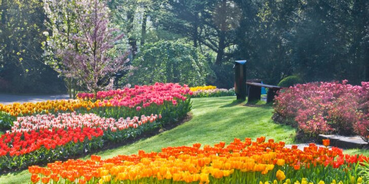 Výlet do země tulipánů včetně Amsterdamu