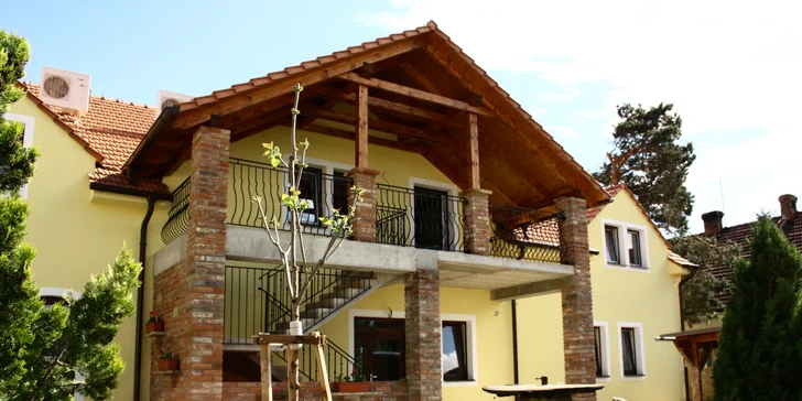 Vyrazte za dobrým vínem: penzion ve Valticích, apartmán s vířivkou, snídaně