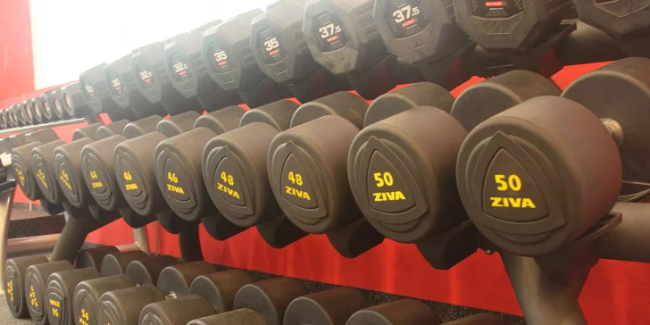 Měsíční permanentka do Panther Gym Čakovice: neomezený počet vstupů