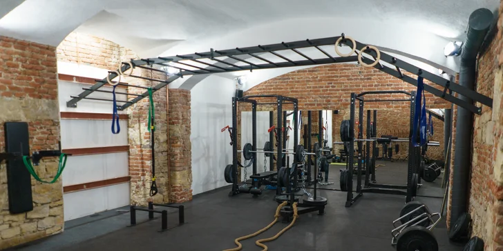 Kruhový trénink 1 nebo 10 vstupů: možnost OCR i Ultimate training