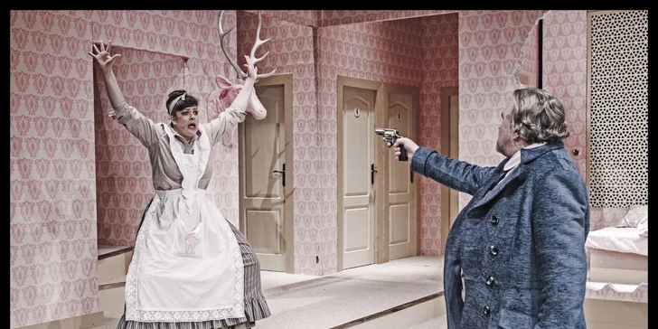Vaudeville je komediální hra založená na scénkách a hudebních číslech, předchůdce varieté a operety.