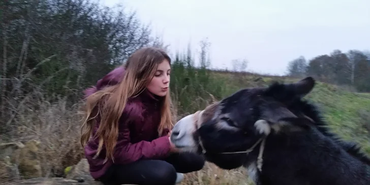 Vyrazte na toulky přírodou s oslíkem, sveze vám batohy i děti!