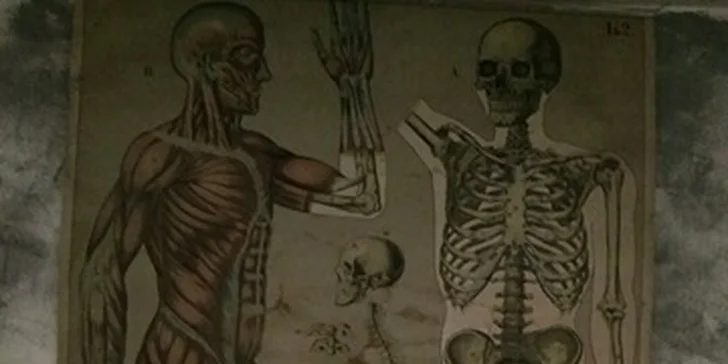 Masáž celého těla na míru: relaxace, zmírnění stresu a bolestivých obtíží
